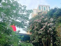 -必胜客(海雅PH店)