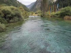 -九寨沟-树正沟