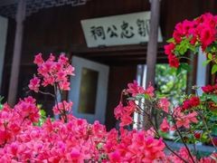 -惠山古镇·寄畅园