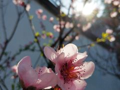-乌山风景区