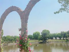 -鹅湖玫瑰文化园