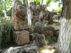 -莲湖公园