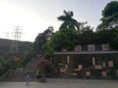 -仙岳公园