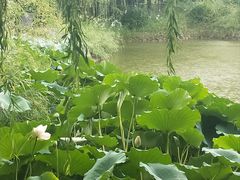 -东北大学(秦皇岛分校)