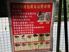 -马陆小张葡萄园农家乐