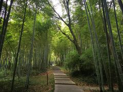 -采石矶景区