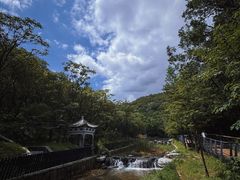 -白水寺森林公园