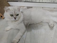 -美联众合24小时·皮肤科·外科·全科诊疗中心(华苑分院)