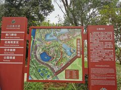 -王借岗森林公园