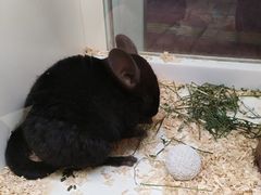 -龙猫仔乐园(惠福东路店)