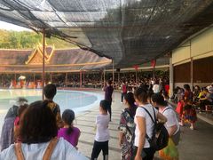 -西双版纳勐泐文化旅游区