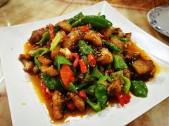-煲来饱去冷水鱼