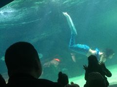 -常州海昌海洋探索馆