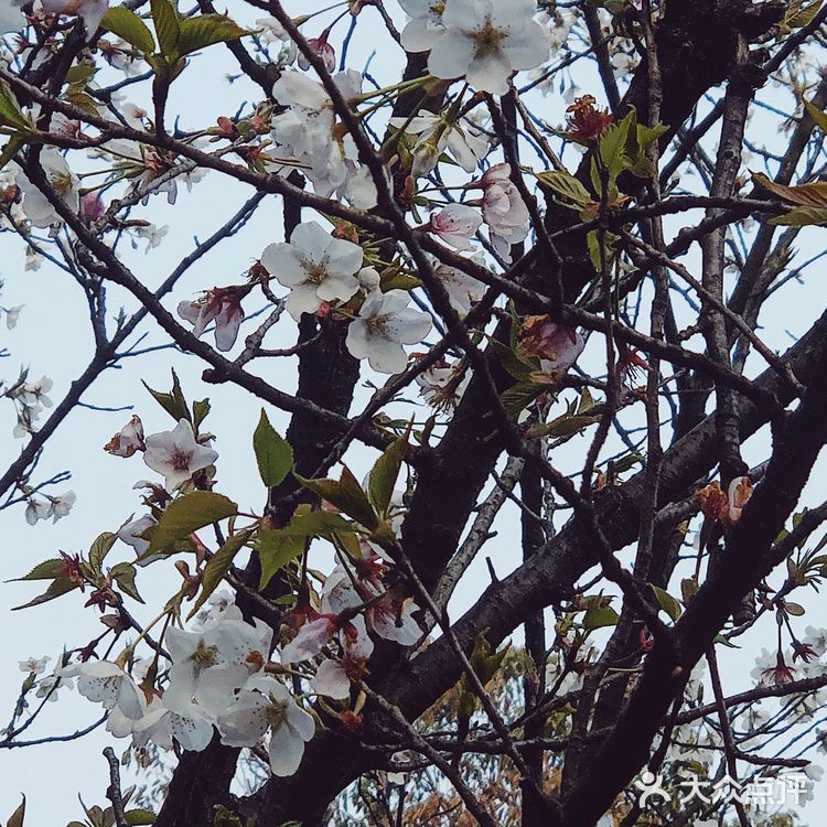 3月组团春游啦！