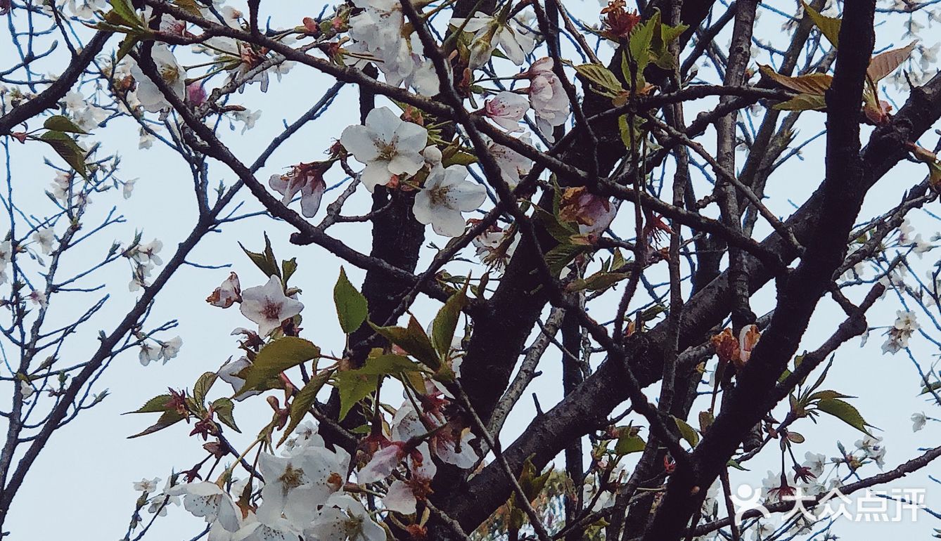 3月组团春游啦！