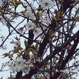 3月组团春游啦！