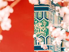 -桃花堤公园
