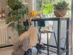 -平行世界·猫咖(首经贸店)
