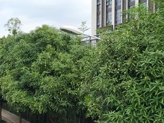 -南宁东站