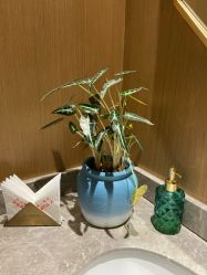 点击看大图 -苑苑vbeauty科技美容SPA