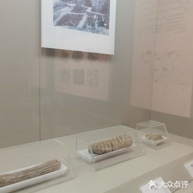 打卡❗商洛市博物馆