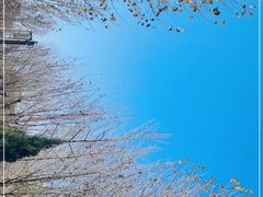 -星巴克(北辰西路店)