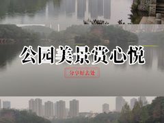 -重庆彩云湖湿地公园