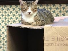 -公利真料竹蔗水(中环店)