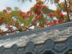 -广州莲花山旅游区
