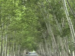 -特克斯八卦城