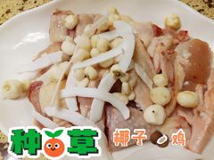 -原味四季椰子鸡(公明百佳华店)