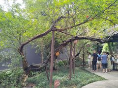 -毛泽东与第一师范纪念馆
