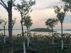 -天津东丽湖风景区