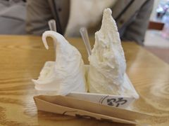 -野人先生Gelato(上海长宁龙之梦店)