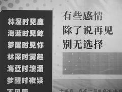-成都失恋馆