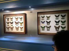 -上海昆虫博物馆