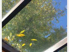 -VOYAGE COFFEE(北锣鼓巷店)