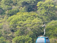 -点都德(广州白云山景区南门店)