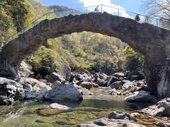 -石台牯牛降景区
