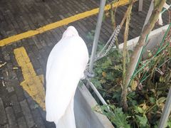 -四海楼(如皋定慧禅寺店)