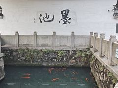 -墨池公园
