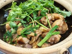 -华仔土鸡店(南洲分店)