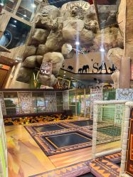 点击看大图 -卡通尼·Safari非洲探索乐园·生日会(金桥国际商业广场店)