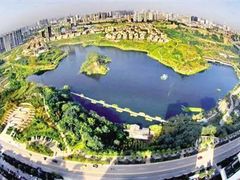 -重庆彩云湖湿地公园