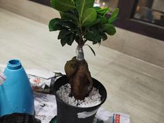 -嘉悦汗蒸时代(曙光路店)