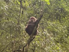 -西岭雪山大飞水景区