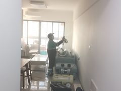 -叶子环保专业除甲醛(广州总部)