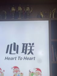 -心联形象设计·流星染