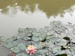 -云溪植物园