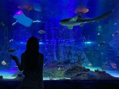 -沈阳海洋探索中心